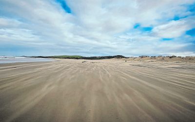 Defending ancient natural remnants of the Wild Coast